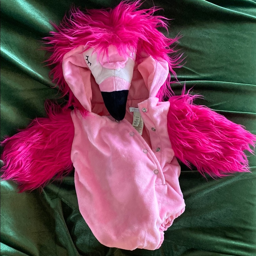 Pink Flamingo Kids Costume Jacket